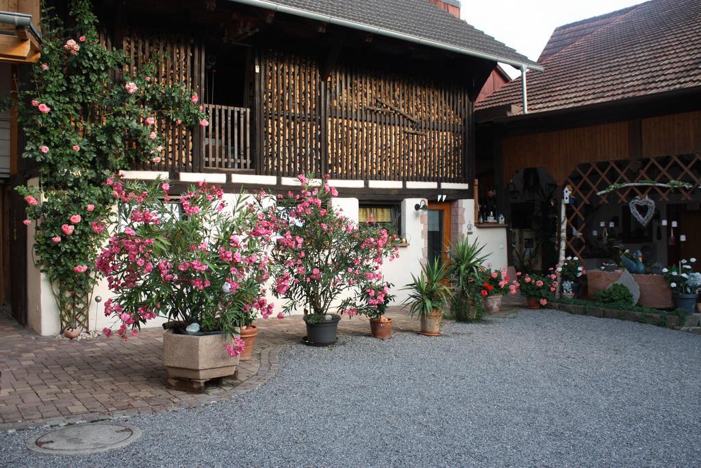 Ferienwohnung Fam. Hoehn Kappel-Grafenhausen Extérieur photo