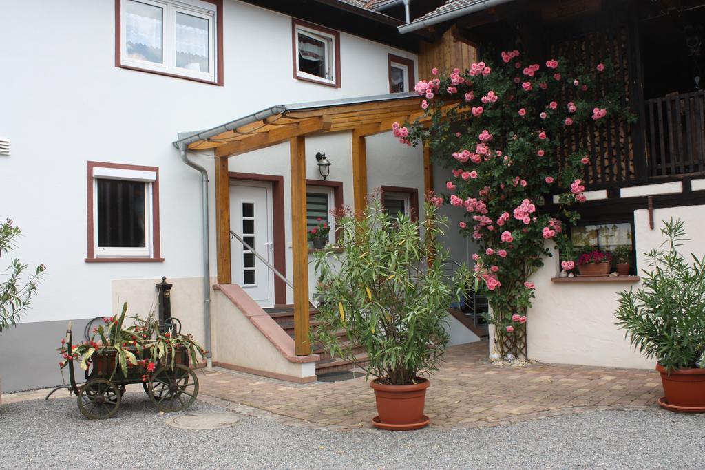 Ferienwohnung Fam. Hoehn Kappel-Grafenhausen Extérieur photo
