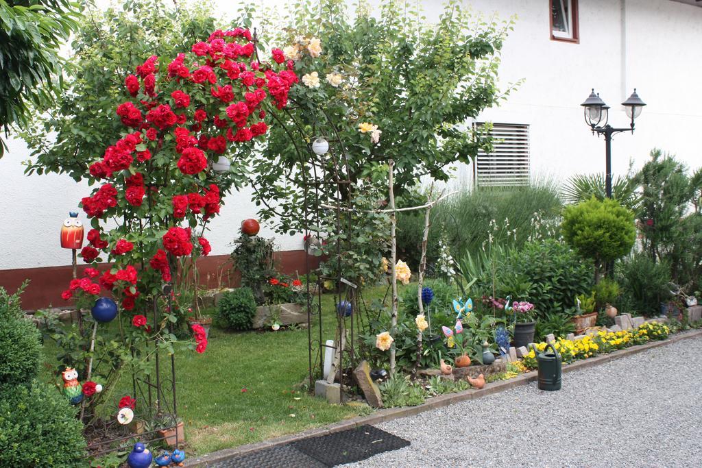 Ferienwohnung Fam. Hoehn Kappel-Grafenhausen Extérieur photo