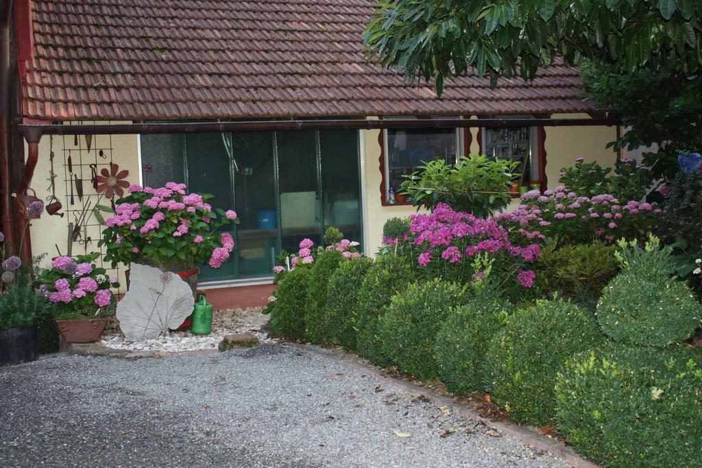 Ferienwohnung Fam. Hoehn Kappel-Grafenhausen Extérieur photo